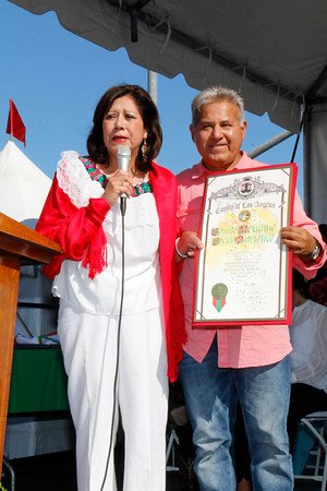 desfile-2016-9